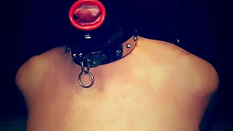 เจ้าหน้าที่หญิงมีอํานาจเหนือ Bdsm Session ด้วย Strapon และ Bondage