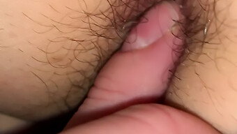 Amateur Wife'S Hairy Holes Explored